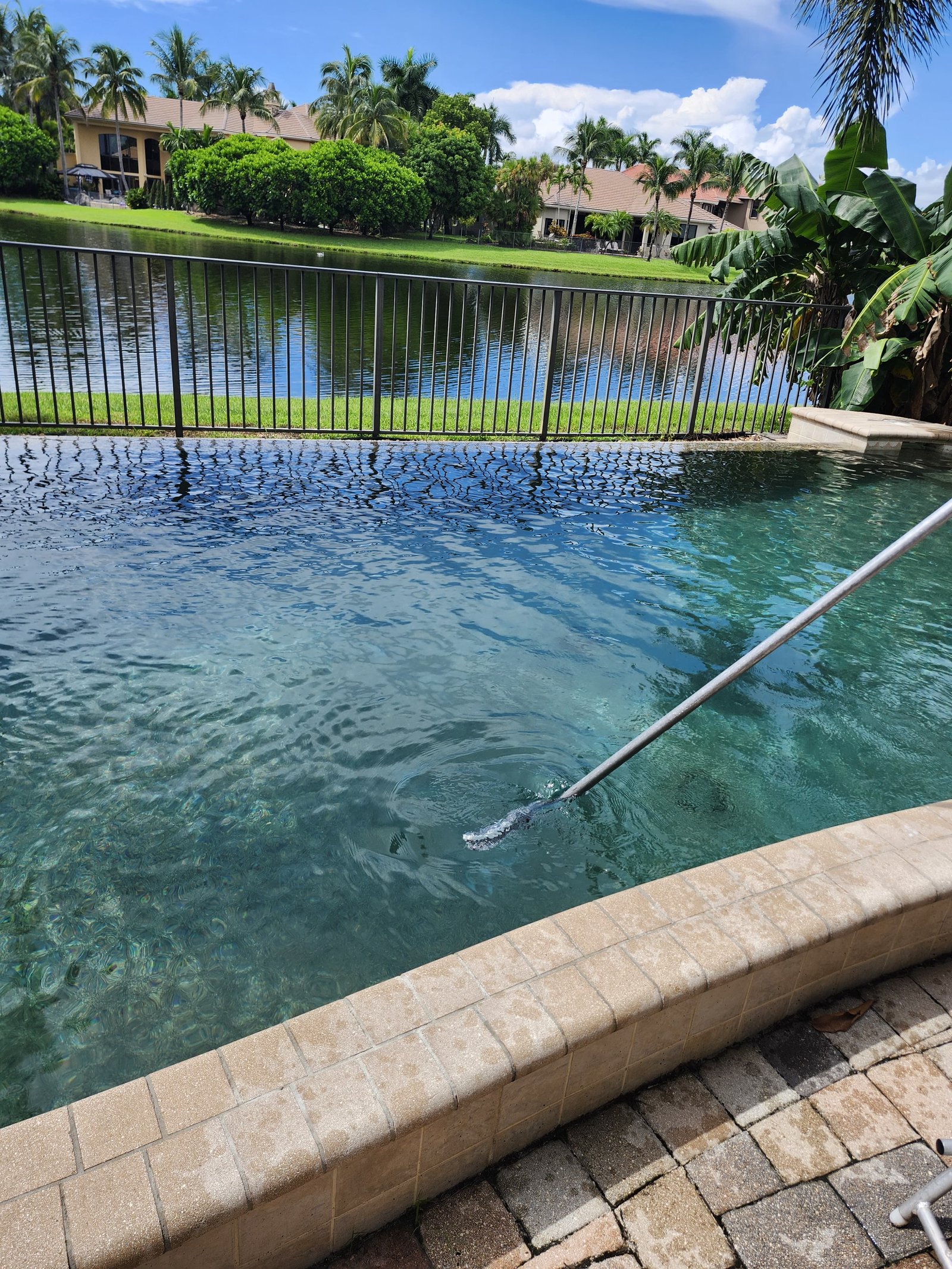 Pool maintenance photo from Curveside Pools