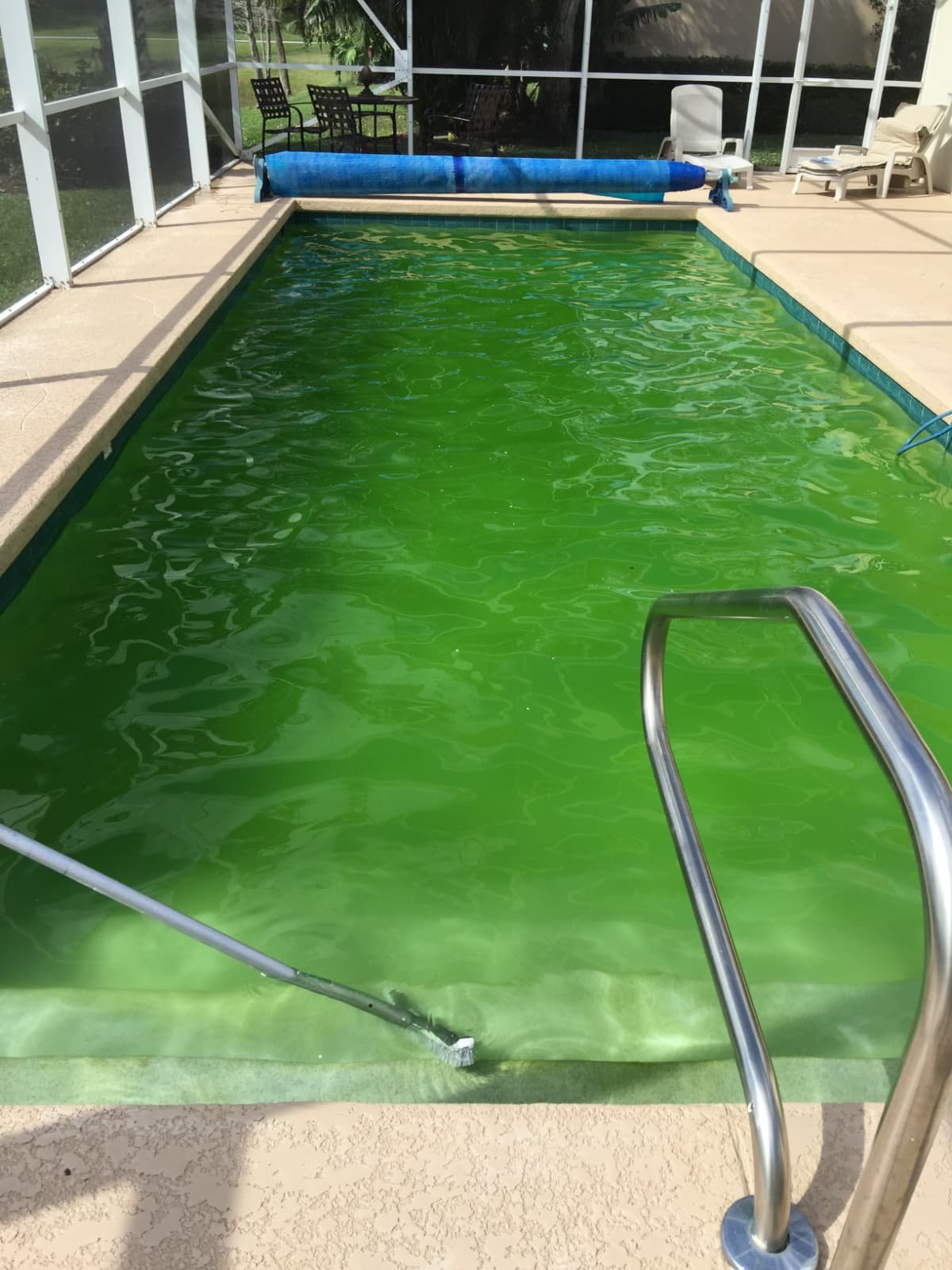 Murky green pool water needing algae recovery